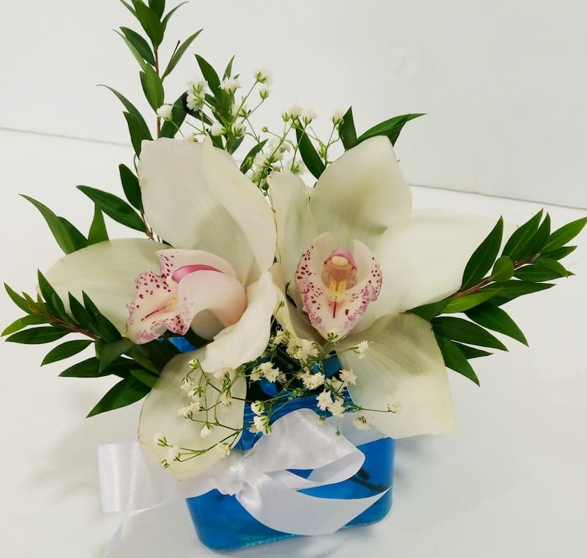 Ανθοσύνθεση με γαλάζιο τζελ σε γύαλινο κύβο με ορχιδέες συμπίντιουμ (Cymbidium) Ανθοσυνθέσεις Φρέσκων Λουλουδιών Ανθοπωλείο Test