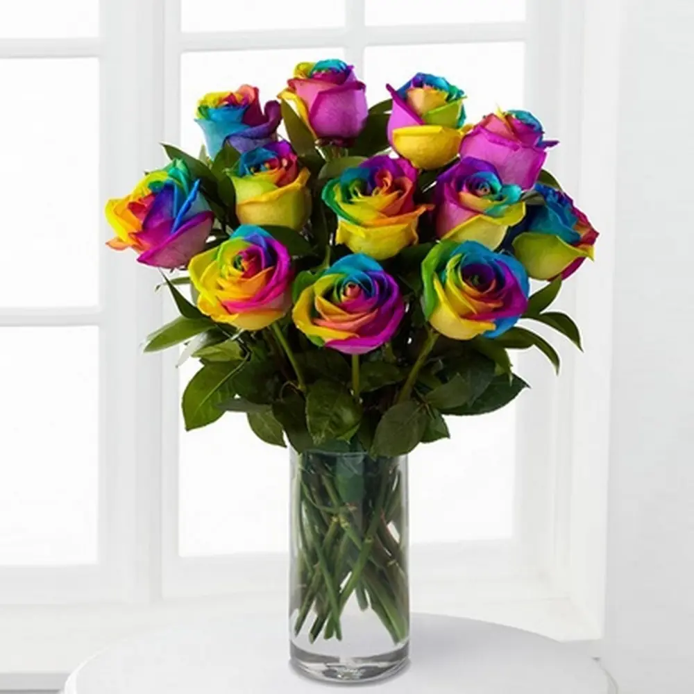 Τριαντάφυλλα ουράνιο τόξο