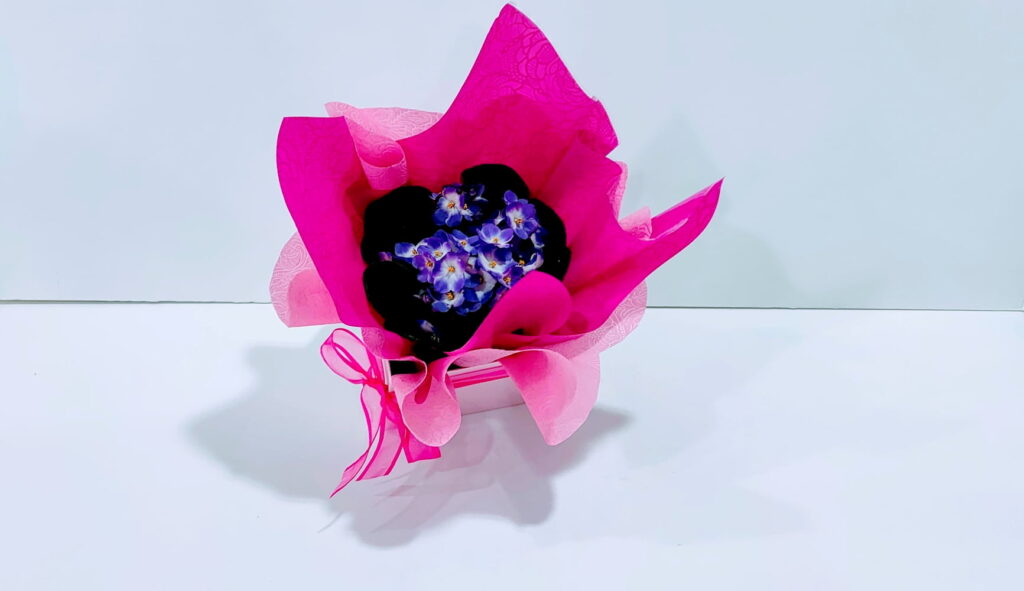 Σαιντπώλια μωβ σε τετράγωνο κουτί